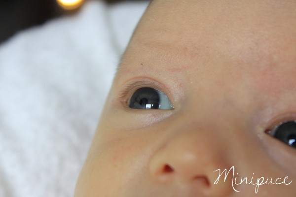 yeux-minipuce-naissance